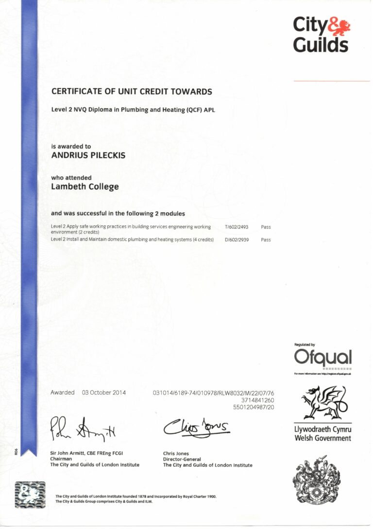 CG NVQ 2 Diploma 1 page 0002